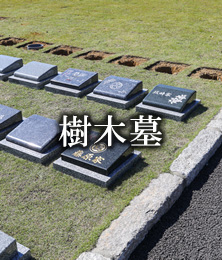樹木墓
